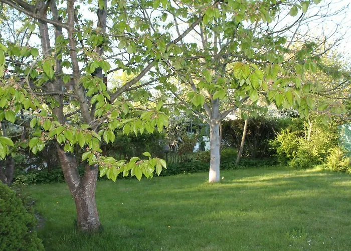 アパート Lutzi's